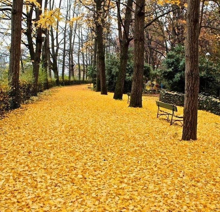 Осень   самое красивое время года: 10 тому фотодоказательств