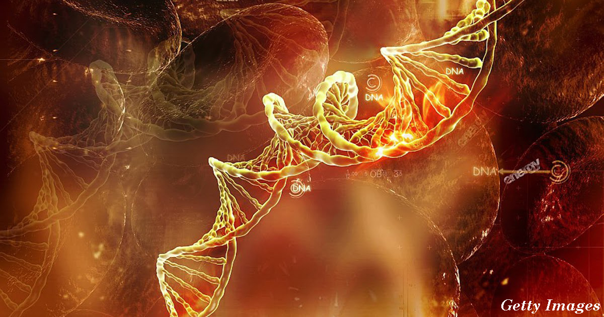 15 странных фактов о ДНК, которых вы точно не знали