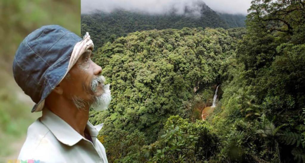 Ради сохранения экосистемы на острове Ява, мужчина в одиночку посадил 11 000 деревьев