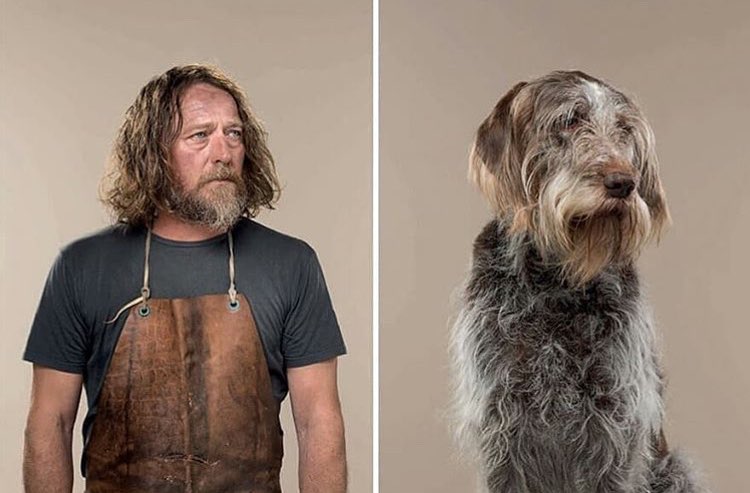 Британский фотограф решил наглядно продемонстрировать, что собаки очень похожи на своих хозяев (фото)