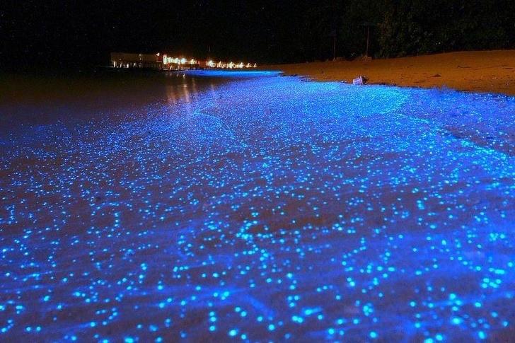 10 уникальных пляжей, о которых стоит знать каждому:  звездный  пляж на Мальдивах покорил сердца многих туристов