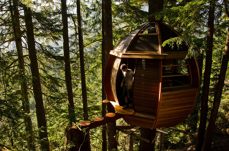 Жить, как птицы: дизайнеры создали необычные отели на деревьях для мечтателей