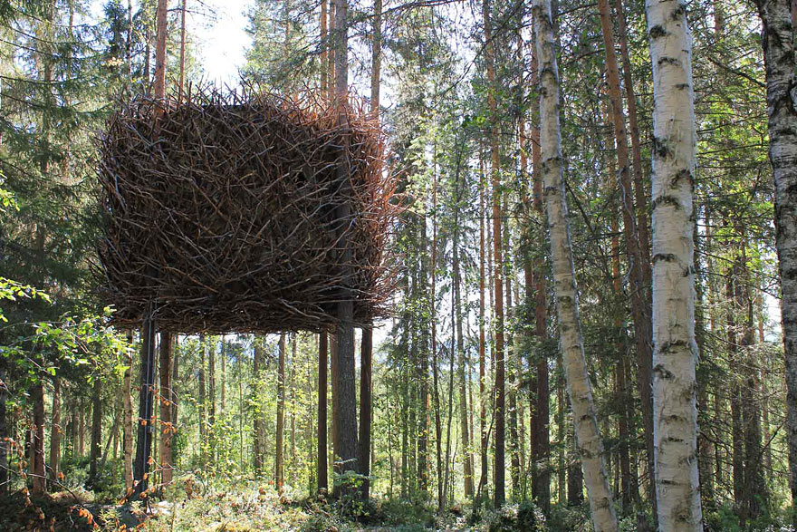 Жить, как птицы: дизайнеры создали необычные отели на деревьях для мечтателей
