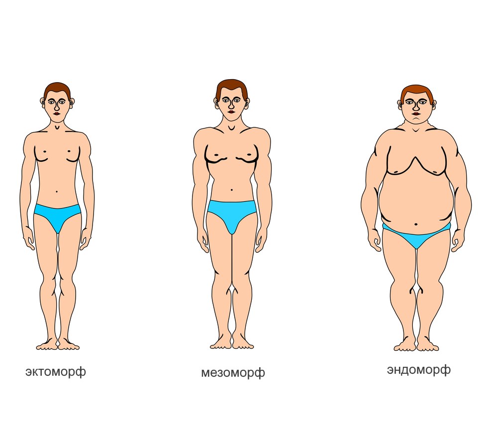 То, какое у вас телосложение, влияет на эффективность похудения: что делать эктоморфам, мезоморфам и энтоморфам, чтобы оставаться стройными