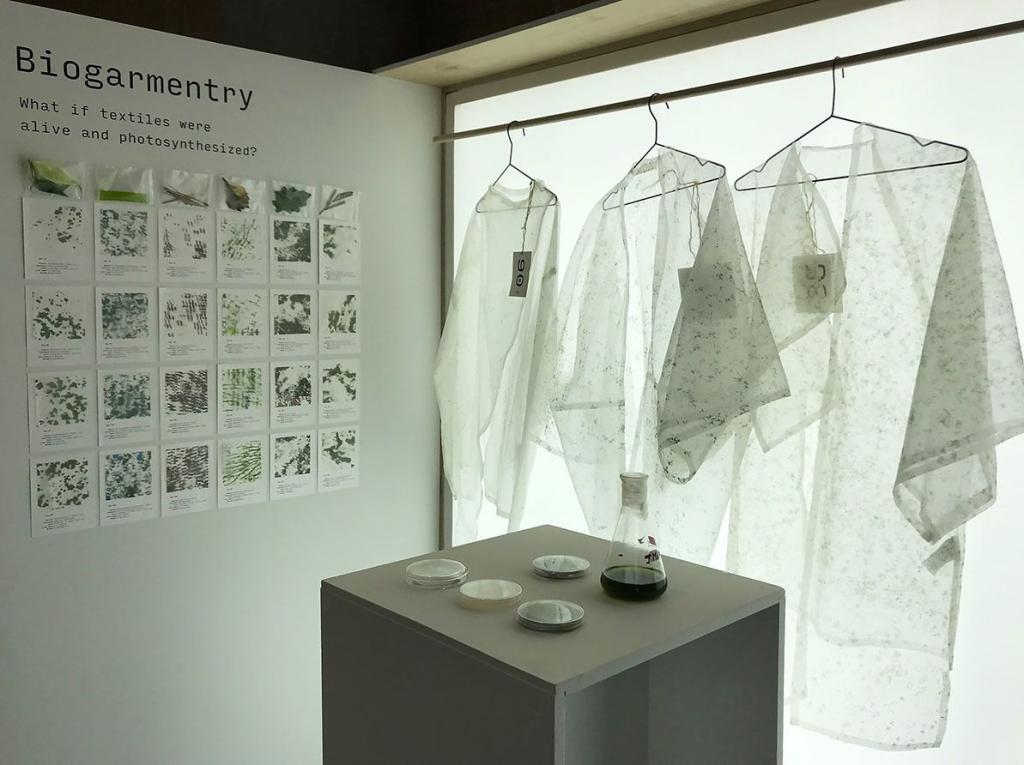 Полет творческой мысли: дизайнер создает экологичную одежду из водорослей