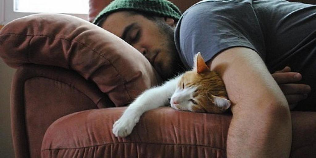 Разрешать кошке спать рядом полезно для здоровья: научное исследование