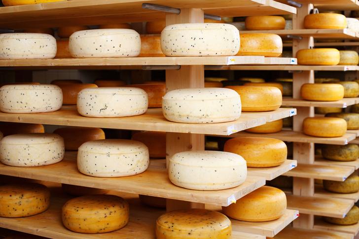 Учимся разбираться в качестве сыра: как избежать дефектного продукта и как его нужно хранить