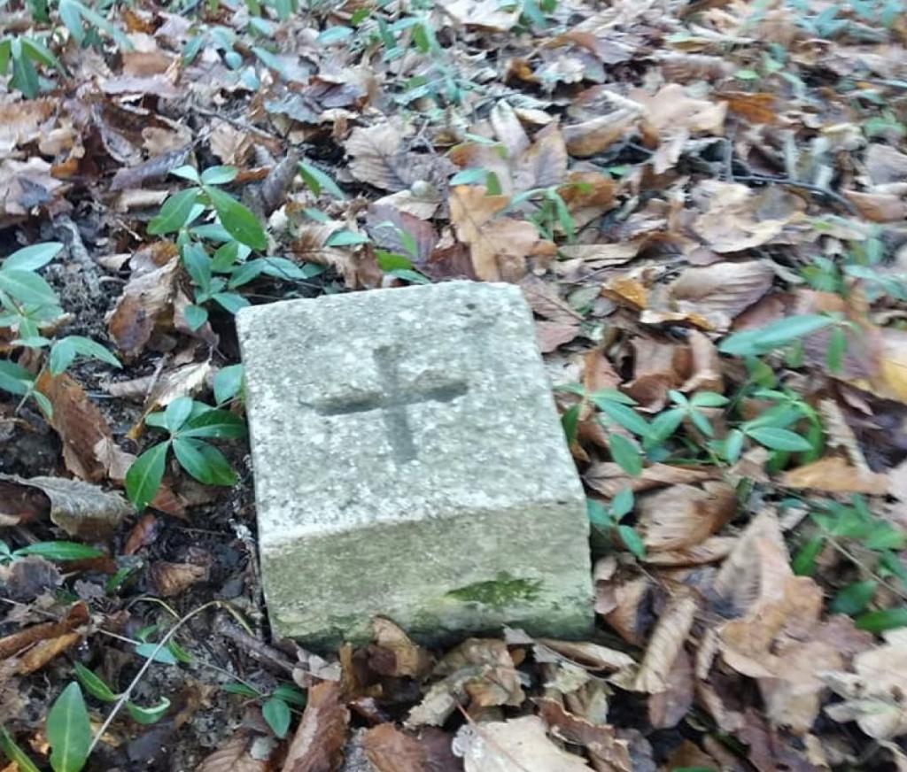 Женщина наткнулась в лесу на странные камни с крестами и спросила у местных жителей, что они обозначают