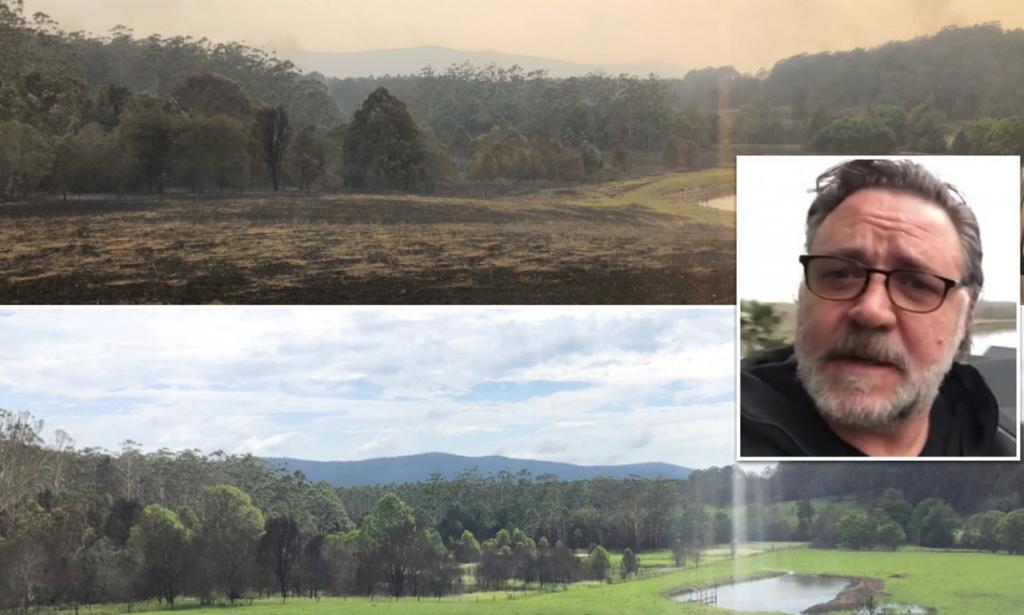 Рассел Кроу поделился фотографией своего участка в Австралии: поврежденного пожарами и восстановившегося после дождей