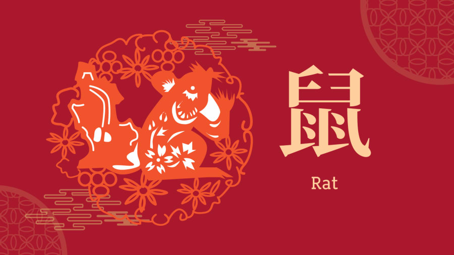 Что таит в себе год Крысы: знаменитый мастер фэншуй из Гонконга поведал, что ждет все знаки Восточного гороскопа