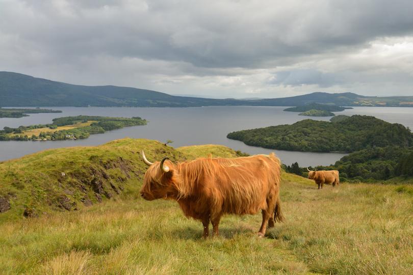 10 самых красивых национальных парков и заповедников Шотландии