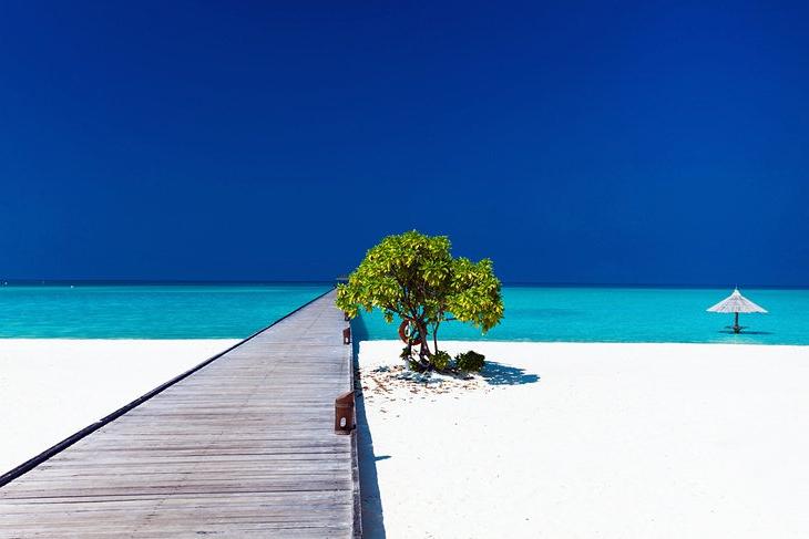Лучшие варианты проведения тропических каникул: сюрреалистическая красота Мальдив уже долгие годы притягивает путешественников