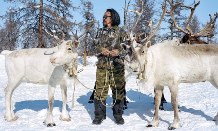 Снежные леса Якутии: жизнь оленевода в фотографиях Алексиса Пазумяна