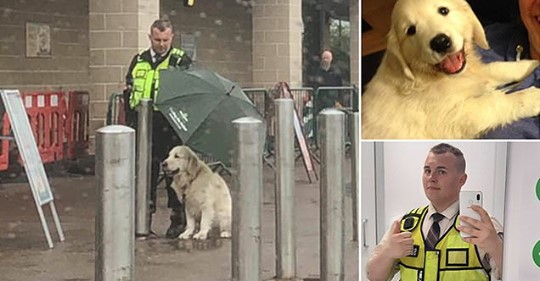 Поступок охранника, который укрыл чужого пса зонтом, растрогал соцсети 