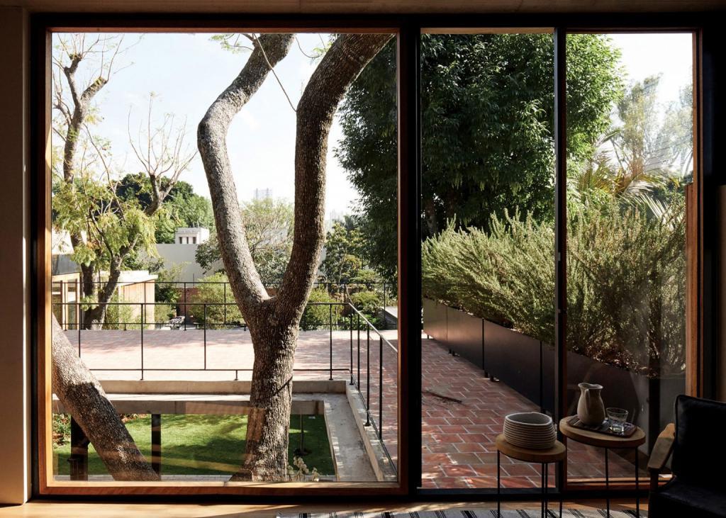 Архитекторы не стали рубить деревья, а позволили им расти  сквозь  дом: оригинальный дизайнерский ход с уважением к природе