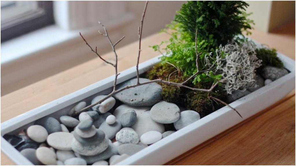 Сад дзен на окне: как создать мини оазис душевного покоя и баланса в простой коробке на подоконнике