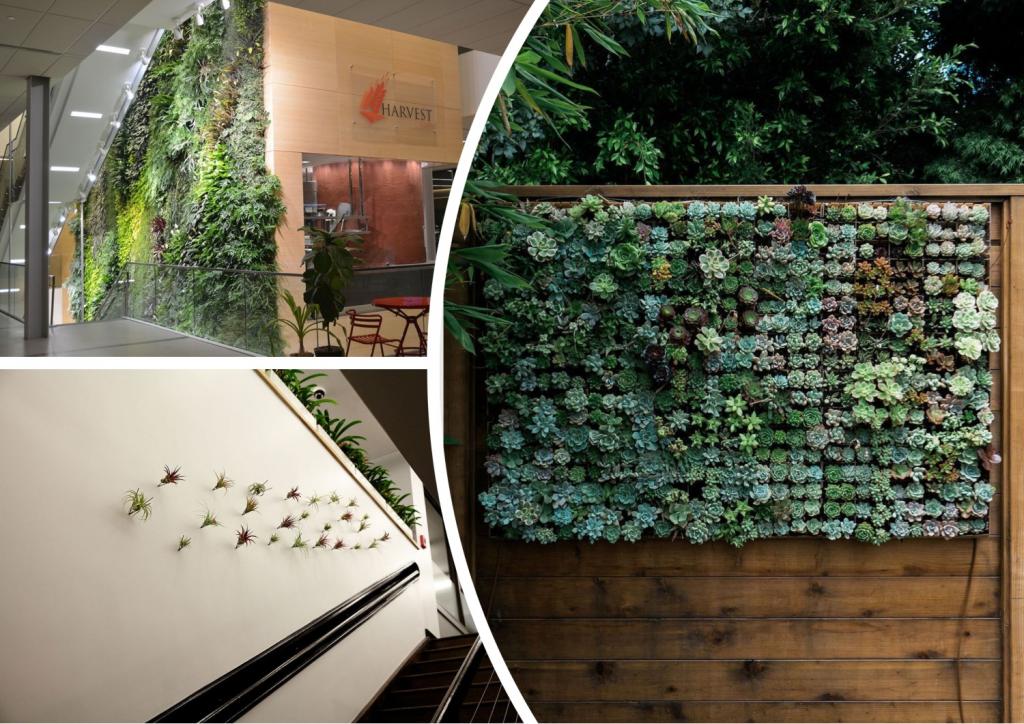 Зелень увеличивает размер, текстуру и придает яркий визуальный эффект: способы оживить стены дома