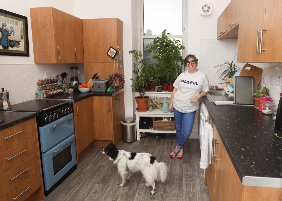 Подруга снимает маленькую квартиру в шотландском Глазго. Попросила показать, как она живет (фото)