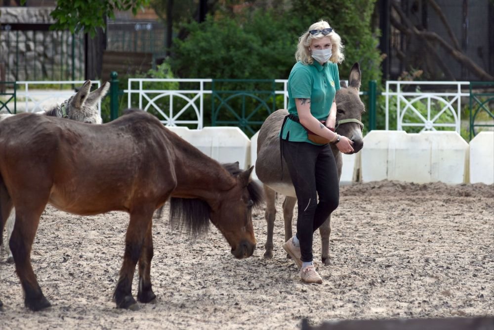 Ему 155 лет, но он такой красивый! Ленинградский зоопарк отмечает юбилейную дату