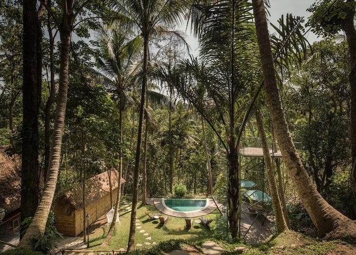 Непременно влюбитесь в Бали, посетив этот отель: расположен прямо на деревьях на высоте 39 футов над уровнем моря (фото)