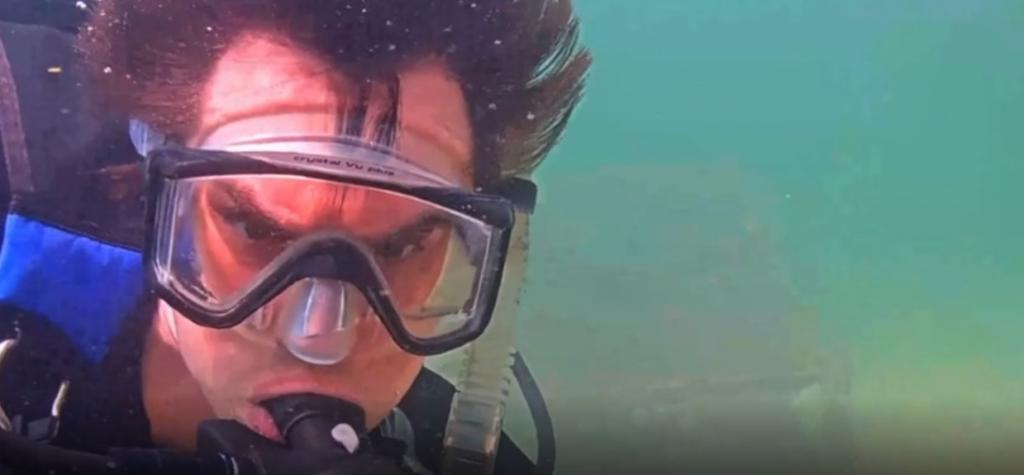 Портреты из-под воды: биологи установили веб-камеру в промышленном порту Майами