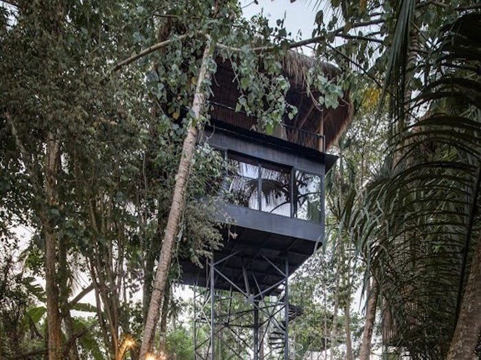 Непременно влюбитесь в Бали, посетив этот отель: расположен прямо на деревьях на высоте 39 футов над уровнем моря (фото)