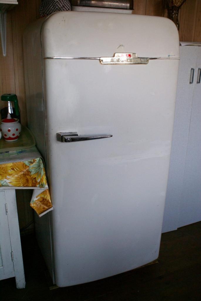 Первые модели весили 5 тонн: 8 августа холодильнику исполняется 121 год