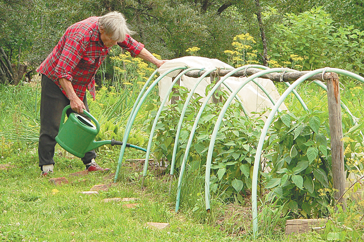 Эксперты назвали хобби, которое продлевает годы жизни: просто занимаемся садом и живем до глубокой старости