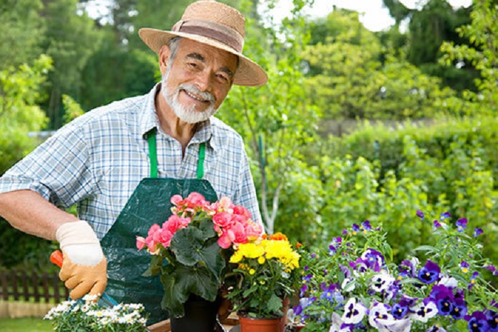 Эксперты назвали хобби, которое продлевает годы жизни: просто занимаемся садом и живем до глубокой старости