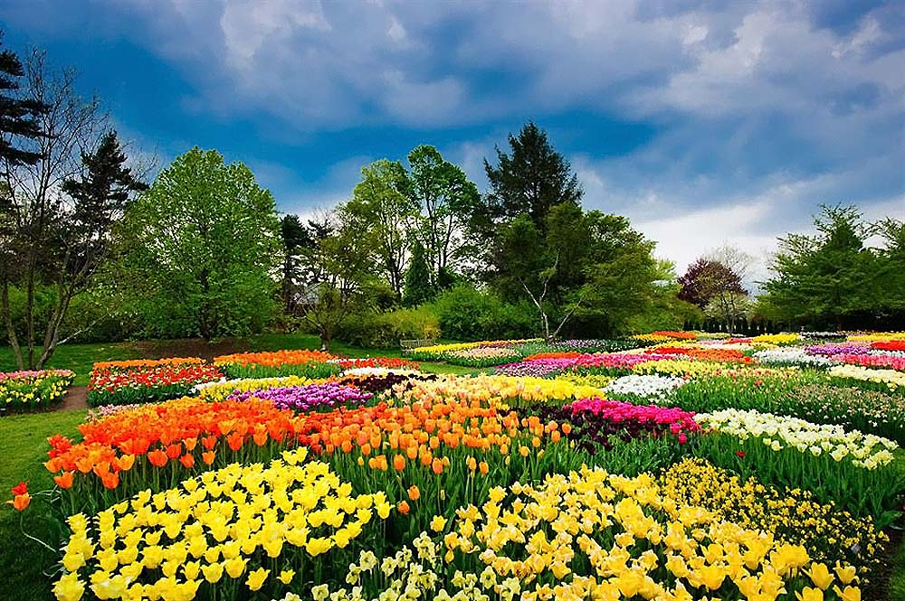 Самые красивые сады мира в Крыму, Англии, Америке, Мексике (фото)