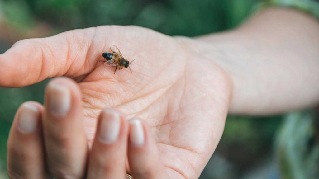Мир без пчел потерял бы все краски: производитель меда показал фотографии, которые заставляют задуматься