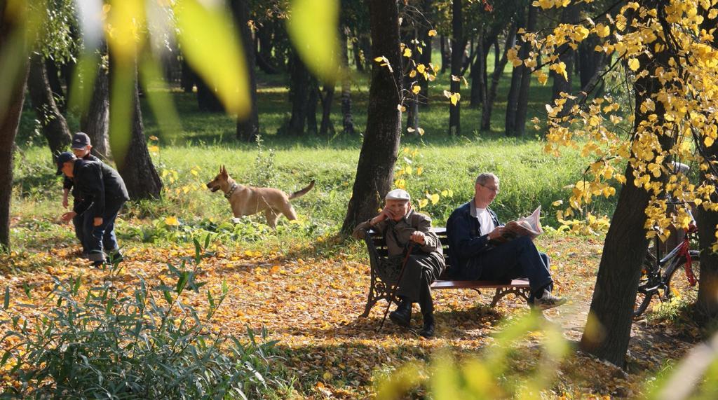В сентябре в Приморье, в октябре в Центральной России: эксперты рассказали, когда и где ждать бабьего лета