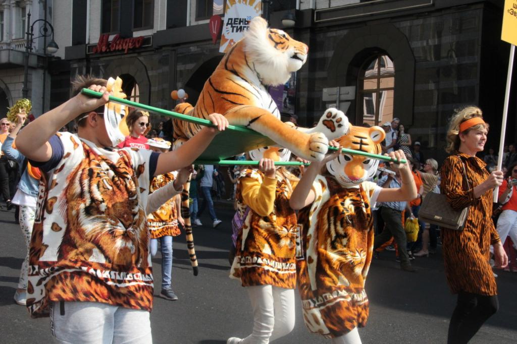 Ежегодный День амурского тигра во Владивостоке отпразднуют онлайн: вместо 