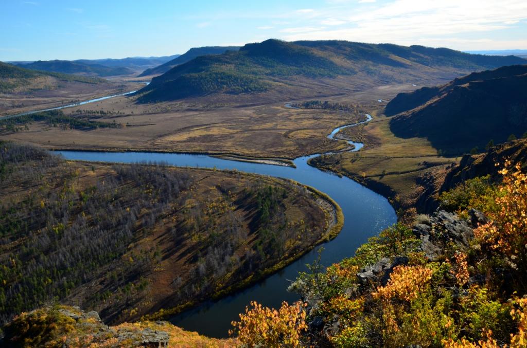 Севастополь и Алтай: названы регионы России, в которых лучше всего защищена дикая природа