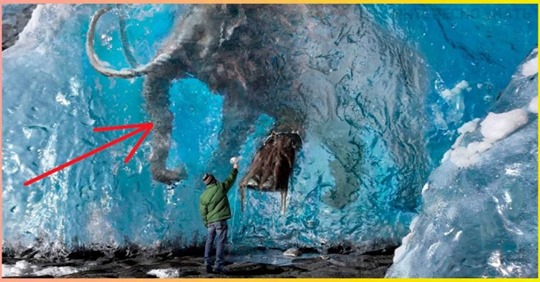 На грани фантастики: 15 фото замерзших вещей, в которые просто невозможно поверить