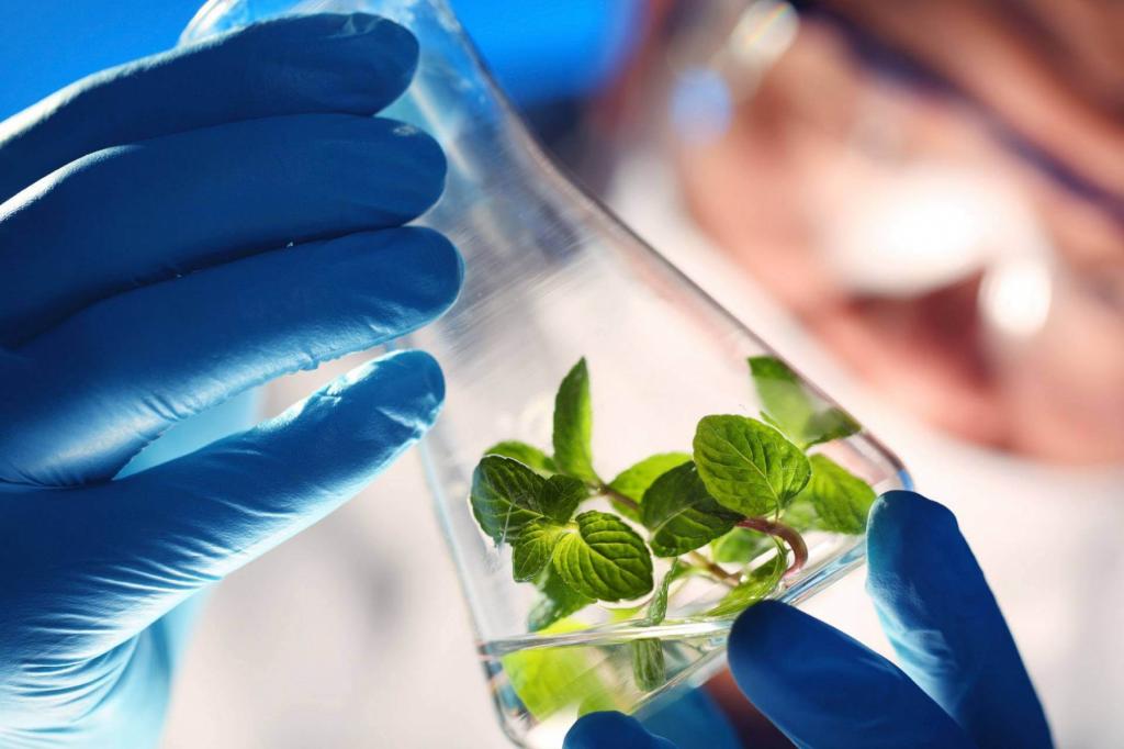 CRISPR Cas9 как инструмент генной инженерии может решить различные проблемы экологии: от парниковых газов до биотоплива