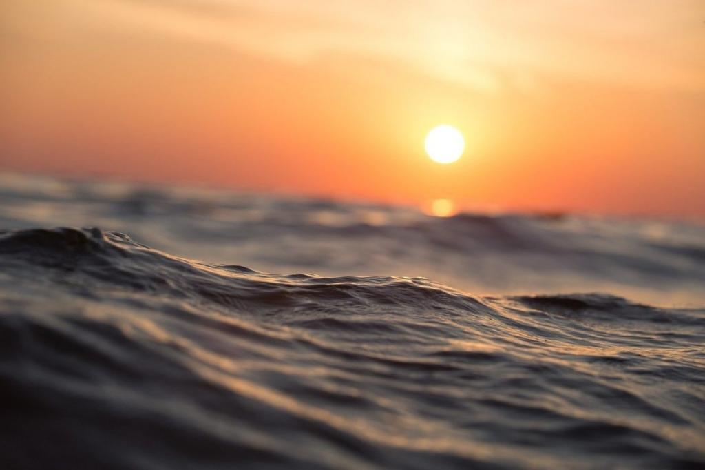 Разрушительное влияние на все человечество: температура в Мировом океане достигла катастрофических показателей