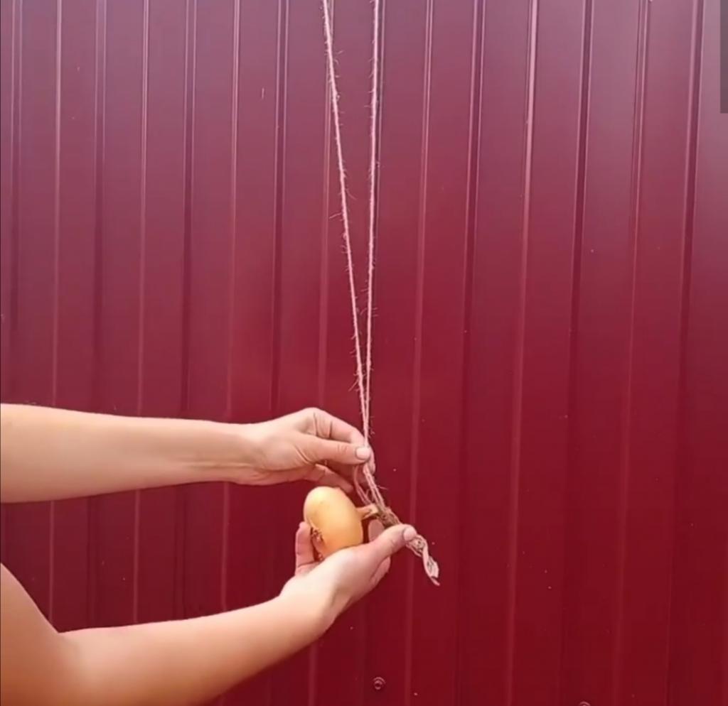 Девушка из Брянска подробно показала, как сформировать косу из луковиц: больше тысячи людей взяли способ на заметку