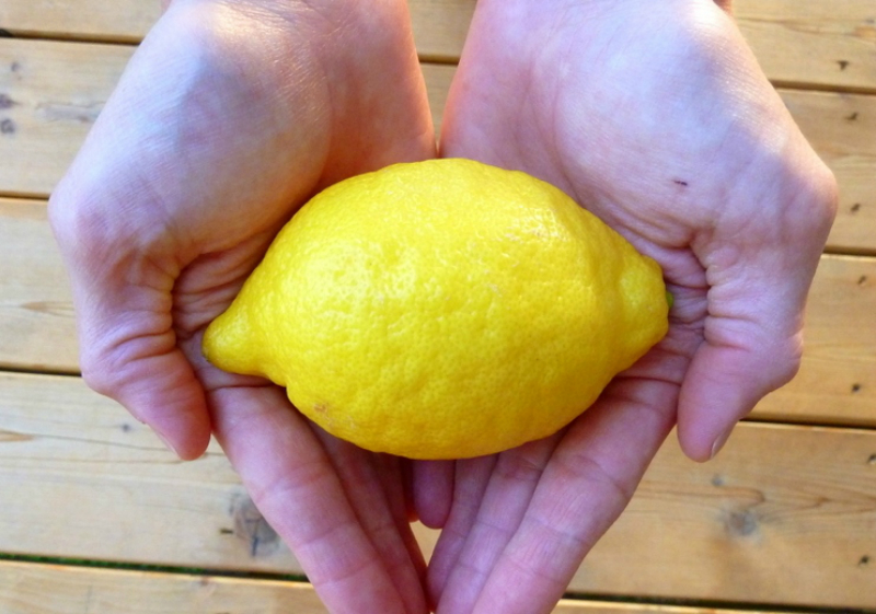 Крупные никогда не беру: как по виду лимона понять, будет от него польза или нет