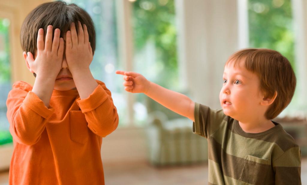 Уделите каждому ребенку отдельное внимание: как прекратить вражду между братьями