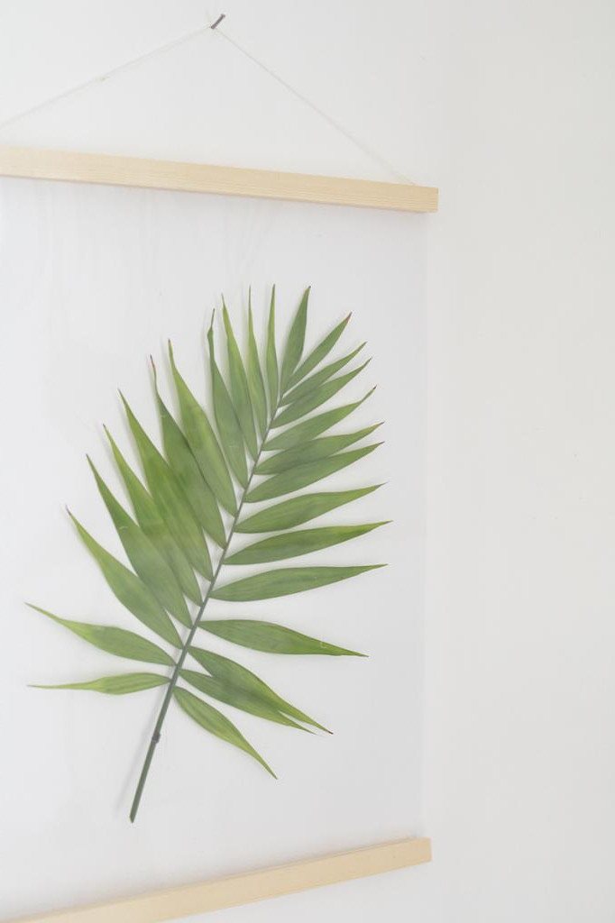 Украсить стены в комнате можно с помощью зеленого папоротника: создаем декоративные рамки из растения, дощечек и прозрачного листа