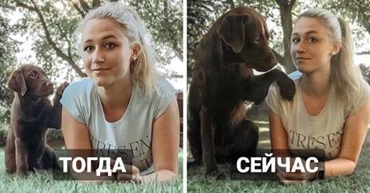 15 сравнительных фото собак до и после того, как они выросли и из милых щеночков превратились в здоровяков