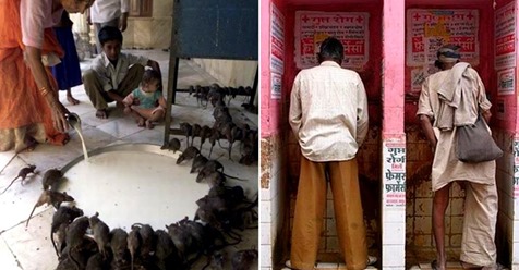 10 фотографий о том, как выглядит реальная Индия