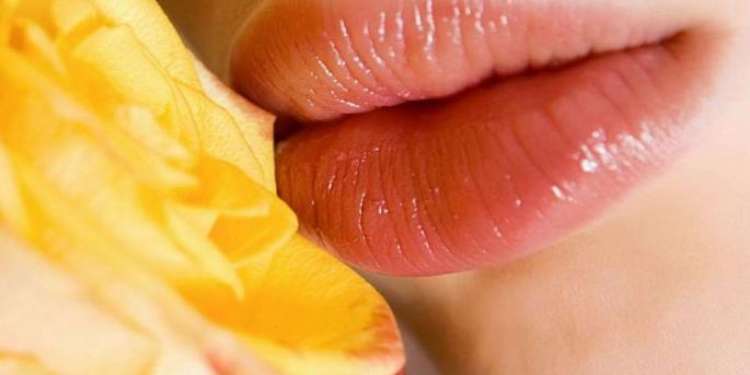 Обветренные губы можно быстро спасти: медовая маска и другие способы, если беда настигла перед свиданием