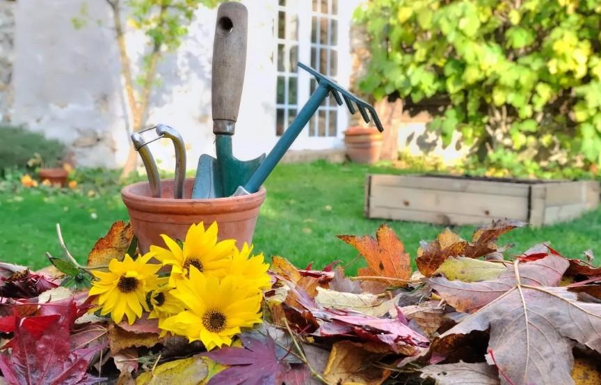 Что необходимо сделать в огороде, в саду и в цветнике в октябре: долгосрочный прогноз погоды по регионам