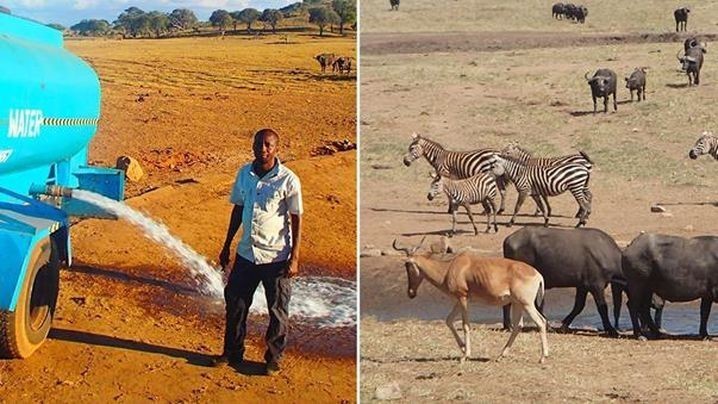 Фермер из Кении доставляет воду для диких животных во время засухи