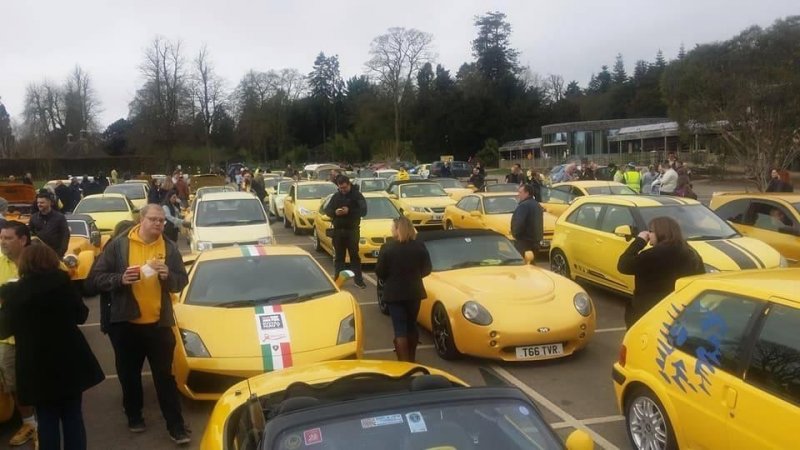 Сотни жёлтых авто приехали в деревню чтобы поддержать пенсионера