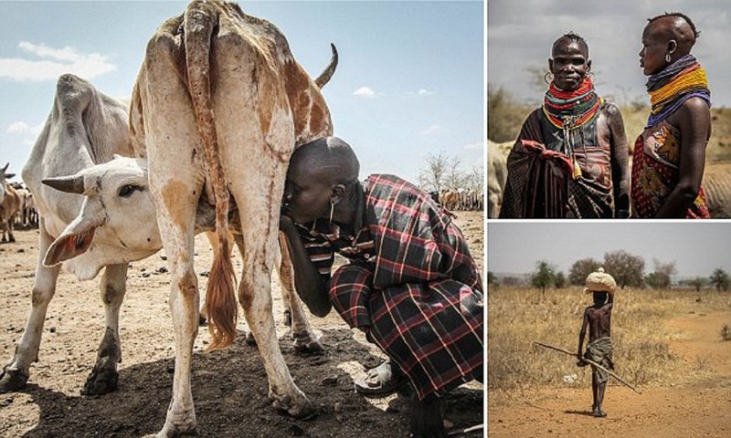 Это африканское племя погибает от засухи