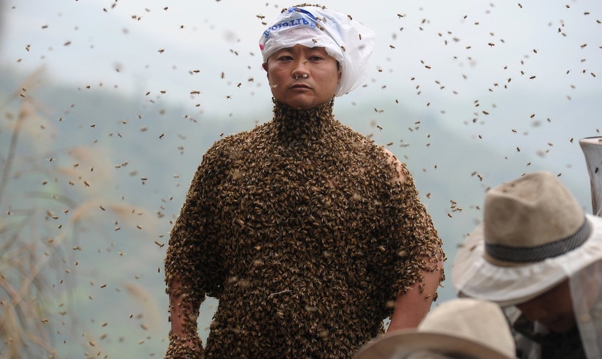 Вы удивитесь, когда узнаете, зачем этот человек ходит в костюме из пчел
