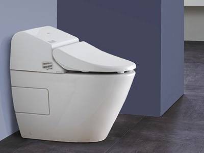 «Туалетный утенок»   чистящее средство для унитазов